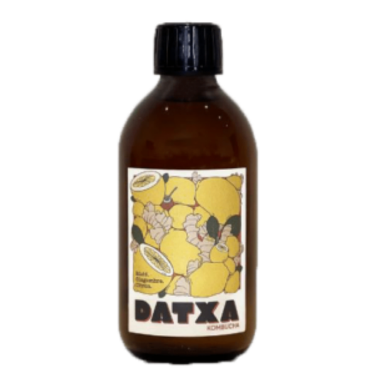 DAMG - KOMBUCHA MATÉ GINGEMBRE CITRON